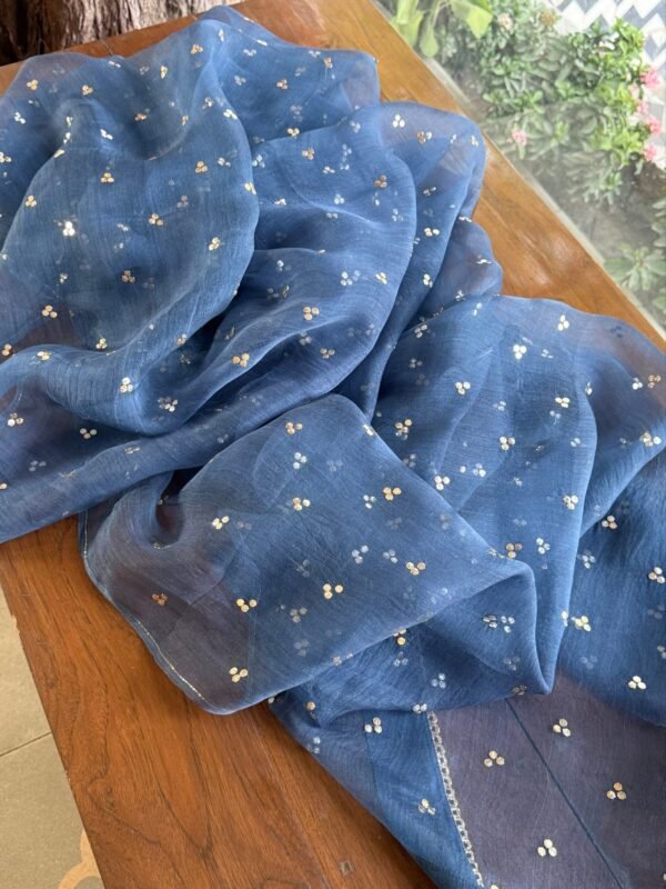 Blue Noor Organza Applique Chikankari Mukaish Kurta Dupatta Set - Image 3