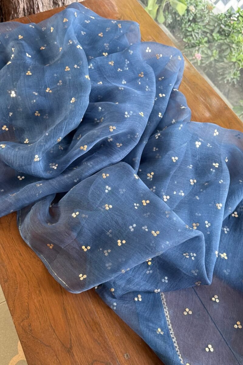 Blue Noor Organza Applique Chikankari Mukaish Kurta Dupatta Set