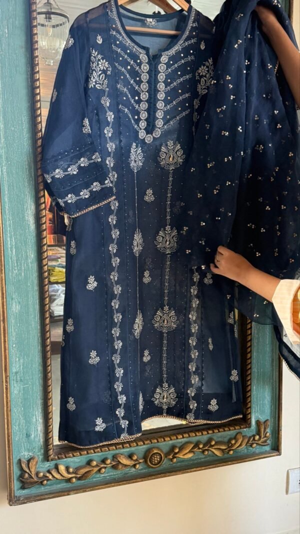 Blue Noor Organza Applique Chikankari Mukaish Kurta Dupatta Set - Image 6