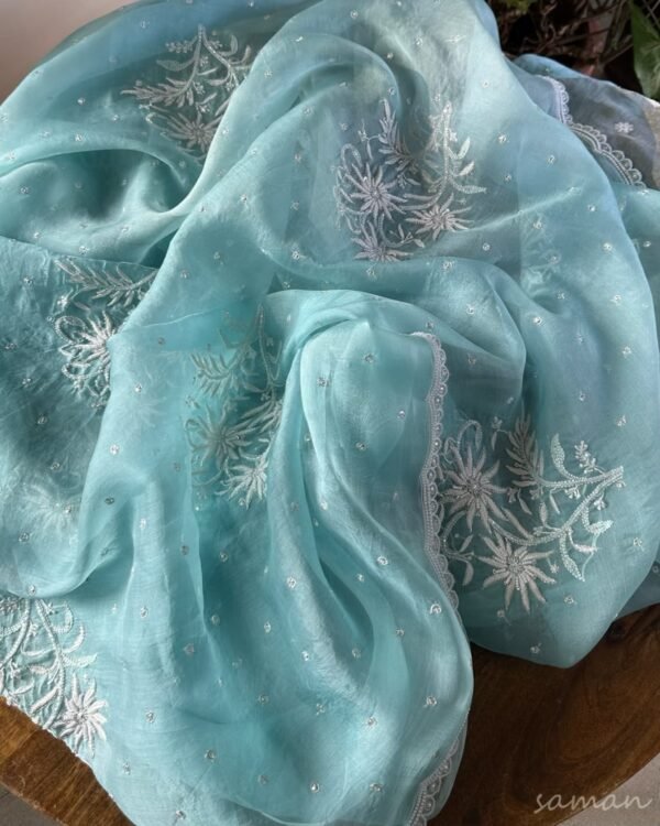 Ice Blue Noor Organza Cutwork Chikankari Saree - Image 5