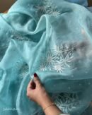 Ice Blue Noor Organza Cutwork Chikankari Saree