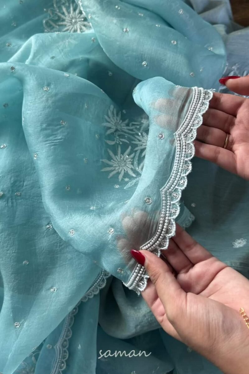Ice Blue Noor Organza Cutwork Chikankari Saree