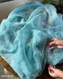 Ice Blue Noor Organza Cutwork Chikankari Saree
