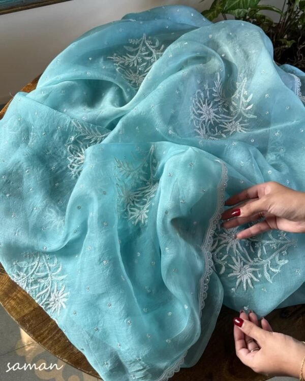 Ice Blue Noor Organza Cutwork Chikankari Saree - Image 3