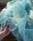 Ice Blue Noor Organza Cutwork Chikankari Saree