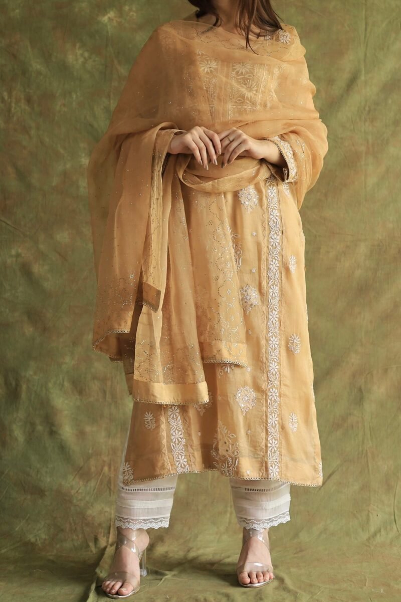 Beige Noor Organza Applique Chikankari Mukaish Kurta Dupatta Set