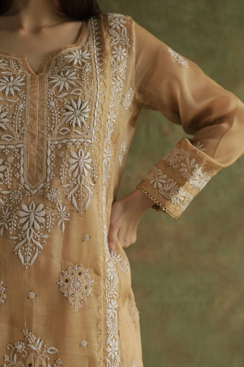 Beige Noor Organza Applique Chikankari Mukaish Kurta Dupatta Set