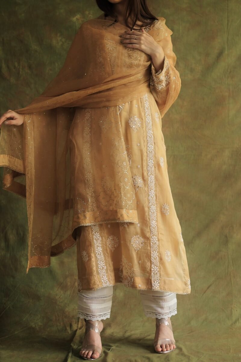Beige Noor Organza Applique Chikankari Mukaish Kurta Dupatta Set