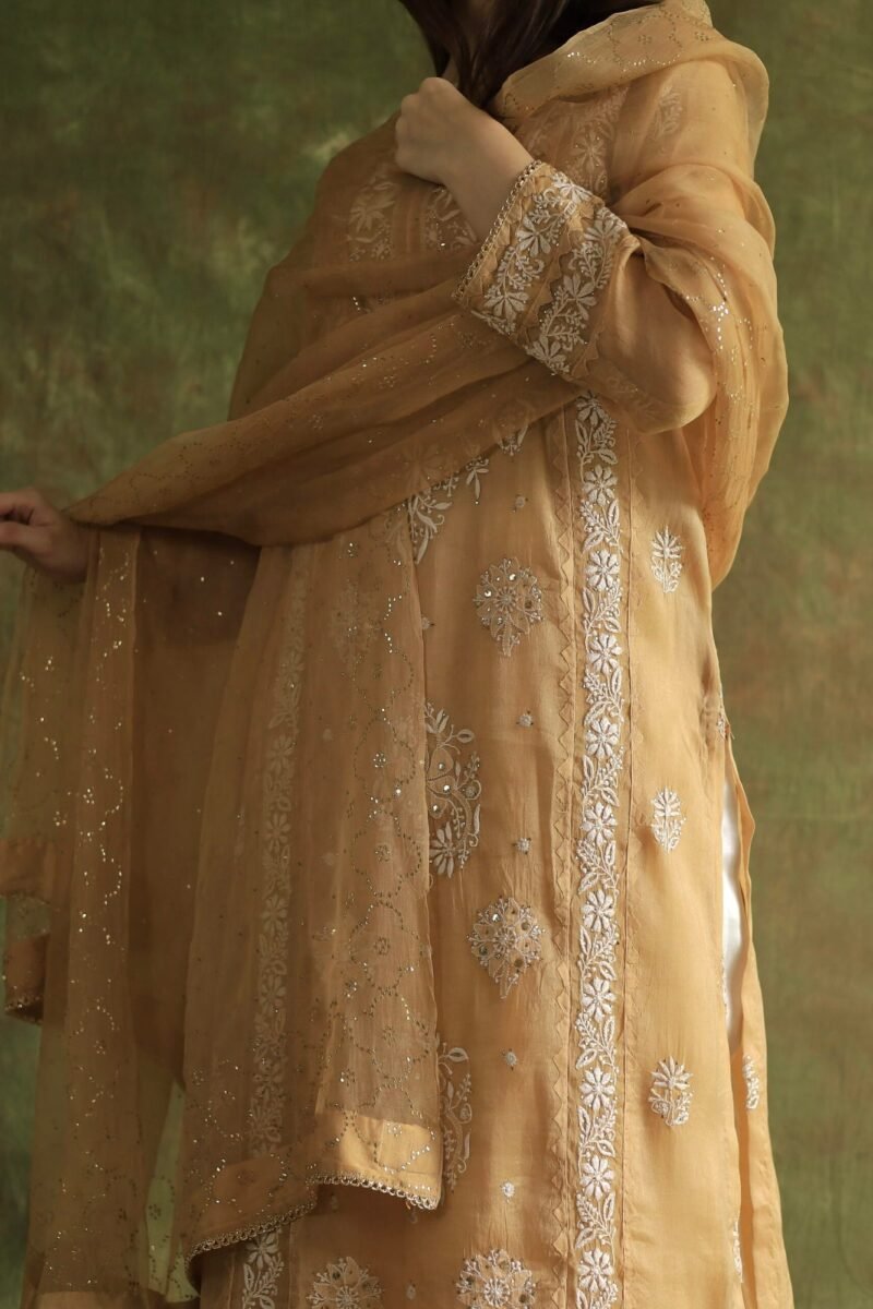 Beige Noor Organza Applique Chikankari Mukaish Kurta Dupatta Set