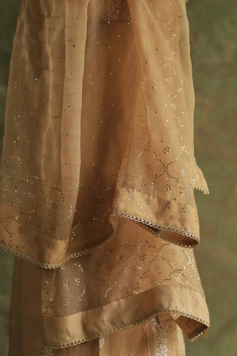 Beige Noor Organza Applique Chikankari Mukaish Kurta Dupatta Set