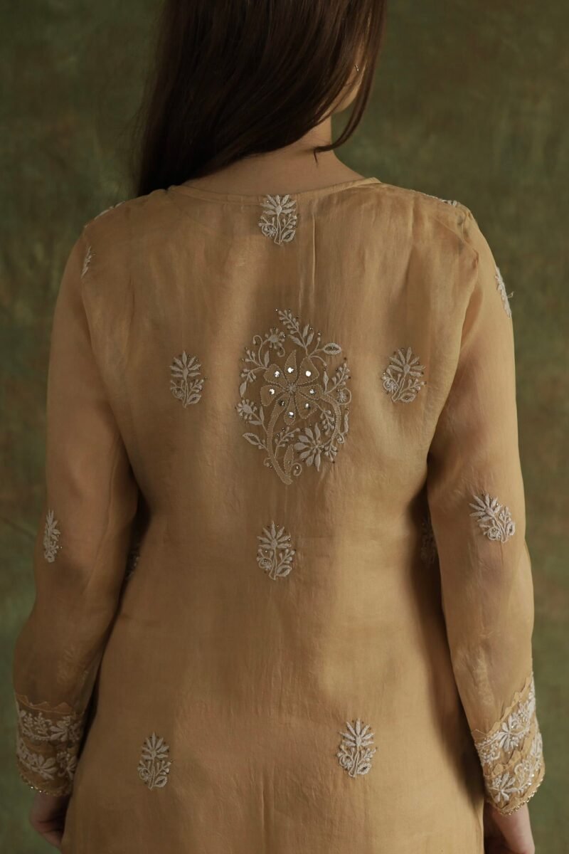 Beige Noor Organza Applique Chikankari Mukaish Kurta Dupatta Set