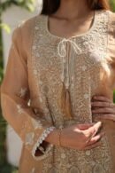 Beige Noor Organza Silk Chikankari Straight Cut Kurta Dupatta Set