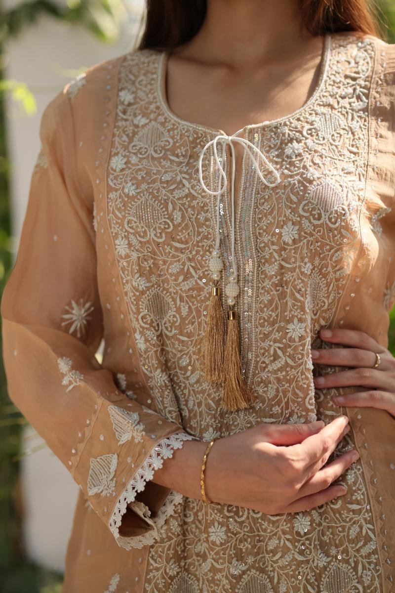 Beige Noor Organza Silk Chikankari Straight Cut Kurta Dupatta Set