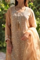 Beige Noor Organza Silk Chikankari Straight Cut Kurta Dupatta Set
