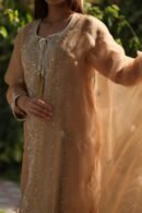 Beige Noor Organza Silk Chikankari Straight Cut Kurta Dupatta Set