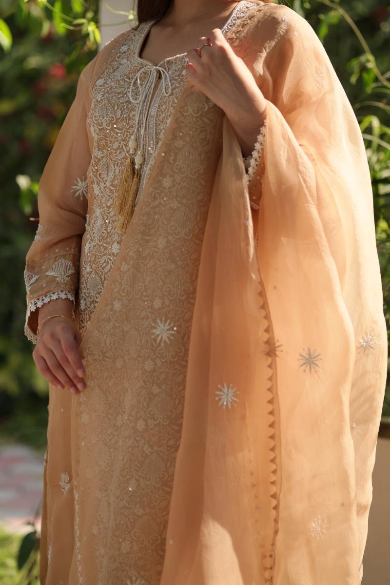 Beige Noor Organza Silk Chikankari Straight Cut Kurta Dupatta Set