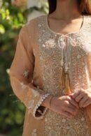 Beige Noor Organza Silk Chikankari Straight Cut Kurta Dupatta Set