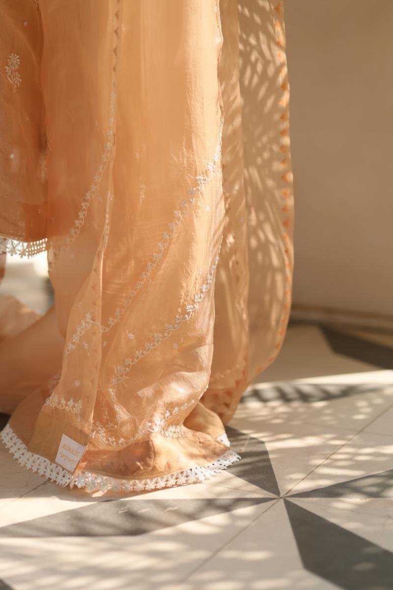 Beige Noor Organza Silk Chikankari Straight Cut Kurta Dupatta Set