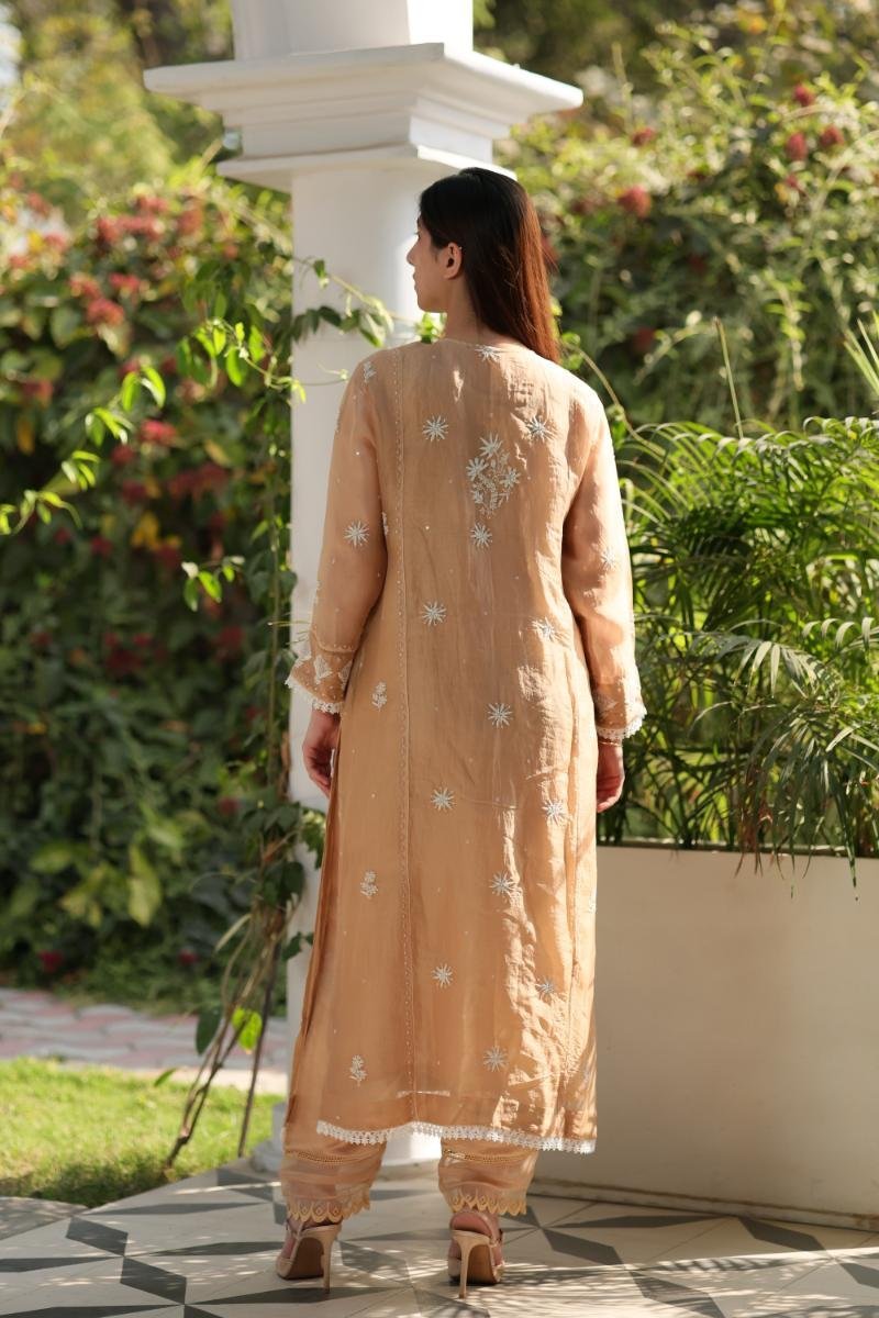 Beige Noor Organza Silk Chikankari Straight Cut Kurta Dupatta Set