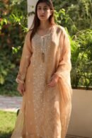 Beige Noor Organza Silk Chikankari Straight Cut Kurta Dupatta Set