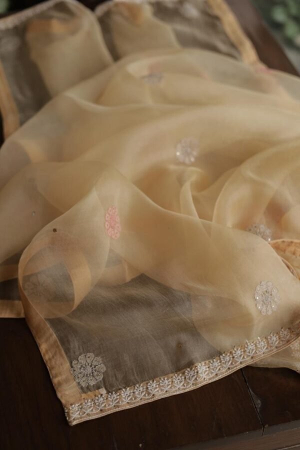 Beige Noor Organza Silk Chikankari With Mukaish Kamdani Fabric - Image 11