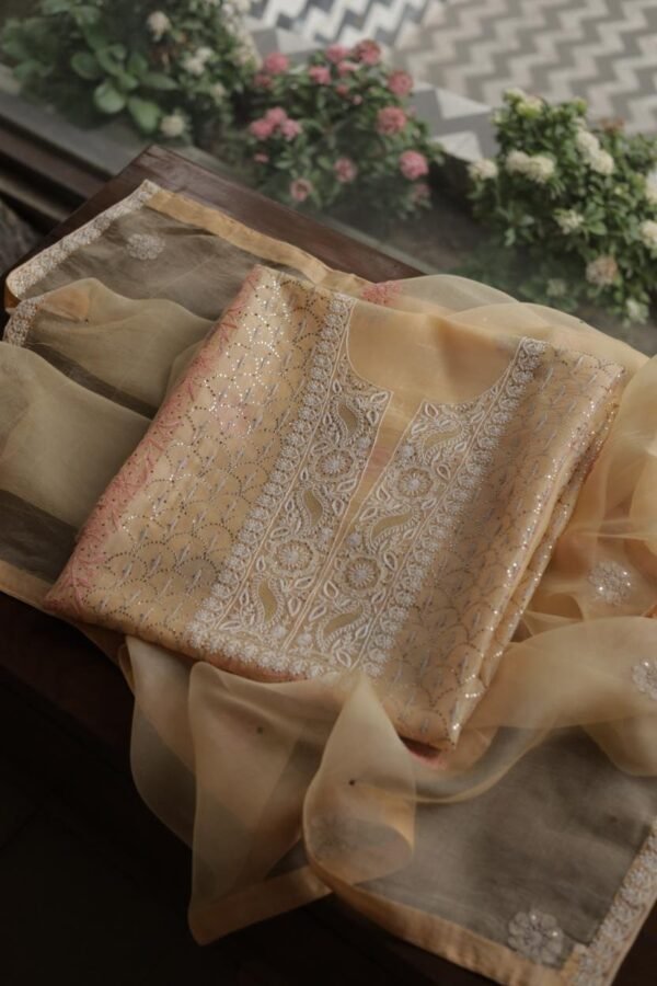 Beige Noor Organza Silk Chikankari With Mukaish Kamdani Fabric - Image 13