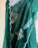Bottle Green | Noor Organza Cutwork Saree