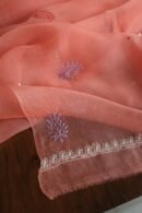 Carrot Pink Noor Organza Silk Chikankari With Mukaish Kamdani Fabric