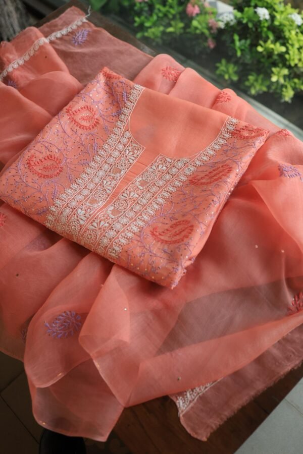 Carrot Pink Noor Organza Silk Chikankari With Mukaish Kamdani Fabric - Image 11