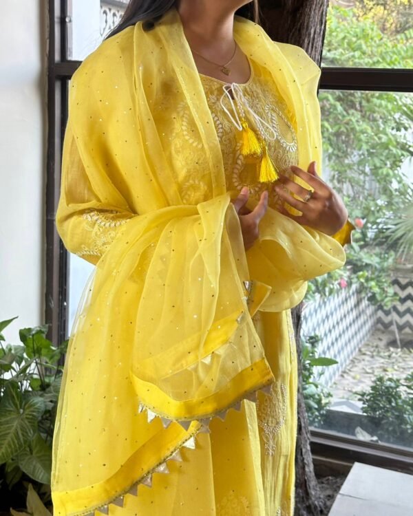 Daraz Chanderi Chikankari Kurta Set - Image 8