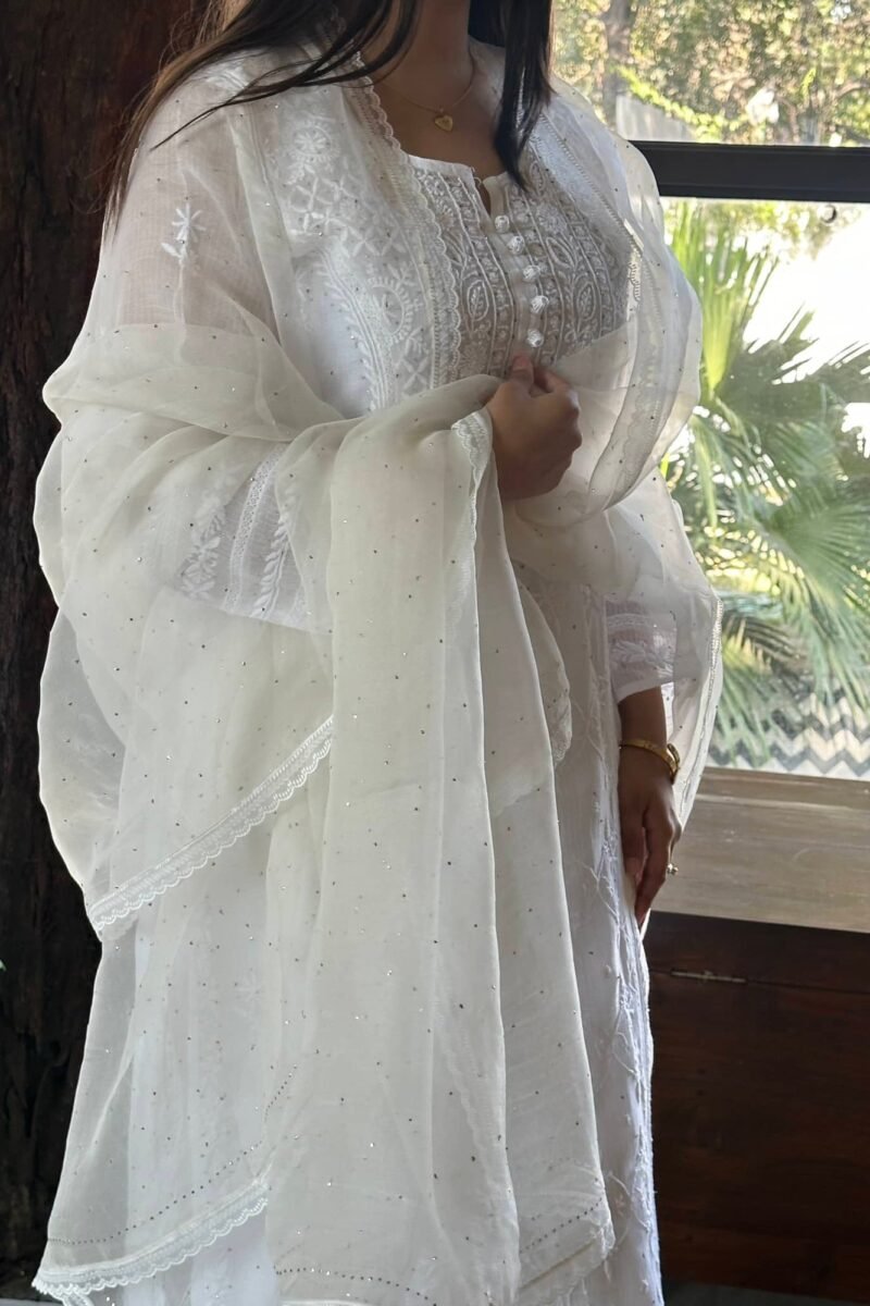 Kamdani Noor Organza Dupattas