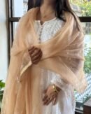 Kamdani Noor Organza Dupattas