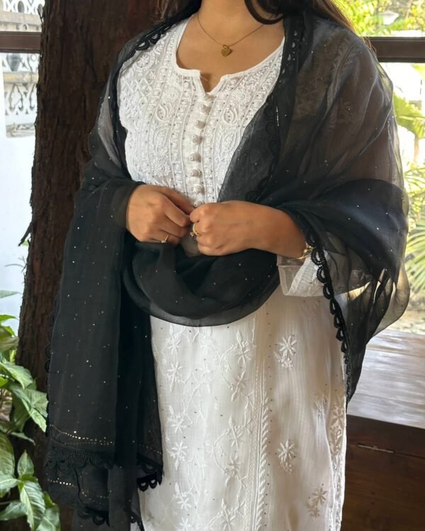 Kamdani Noor Organza Dupattas - Image 2