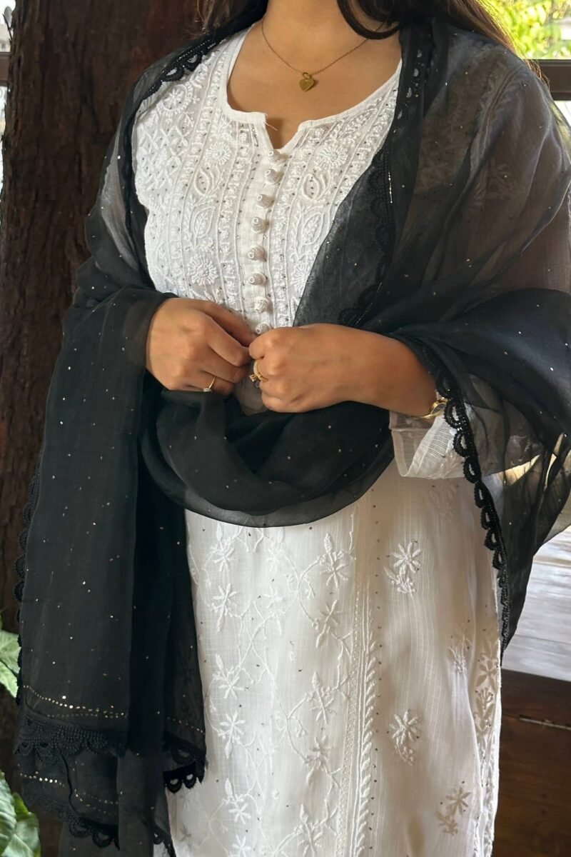 Kamdani Noor Organza Dupattas