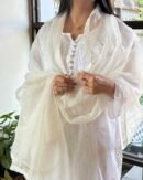 Kamdani Noor Organza Dupattas