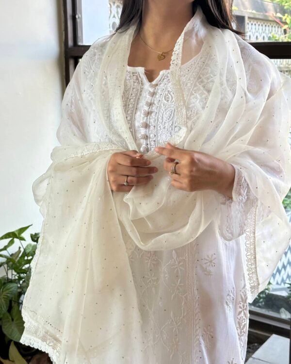 Kamdani Noor Organza Dupattas - Image 2