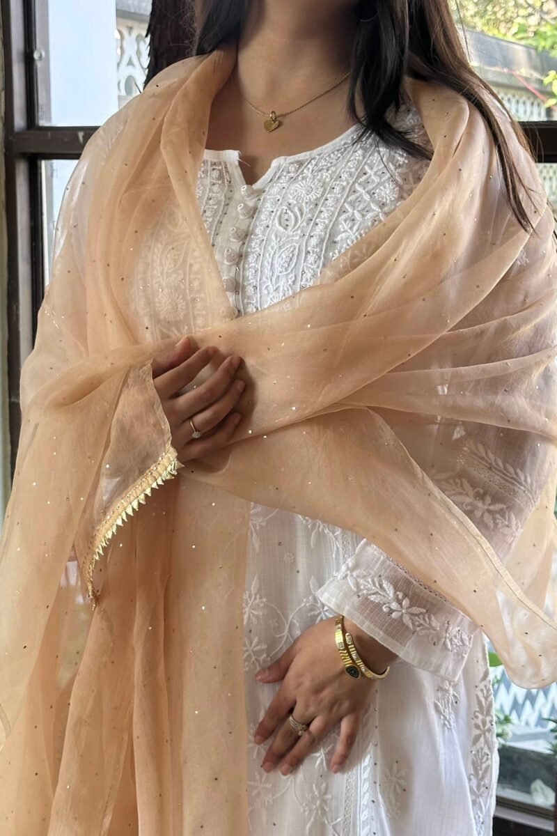 Kamdani Noor Organza Dupattas