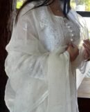 Kamdani Noor Organza Dupattas