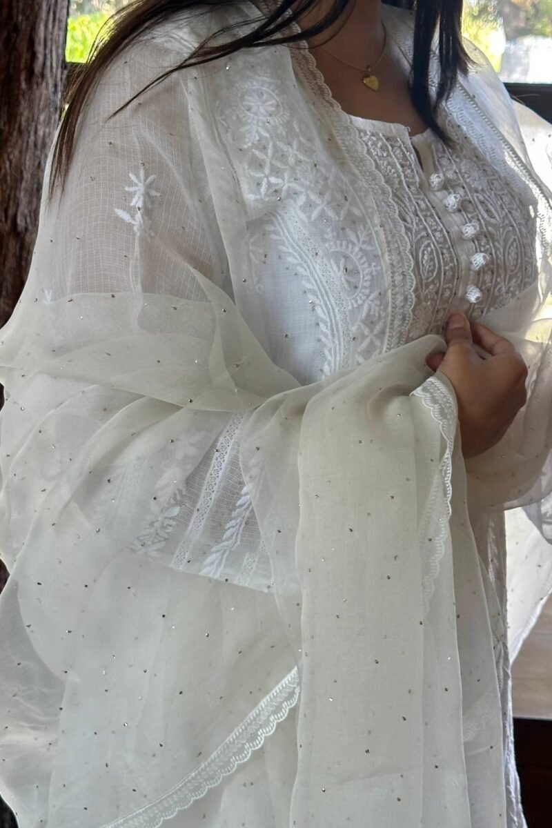 Kamdani Noor Organza Dupattas