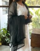 Kamdani Noor Organza Dupattas