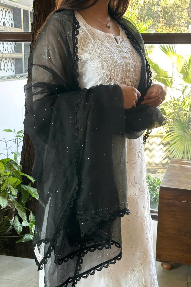 Kamdani Noor Organza Dupattas