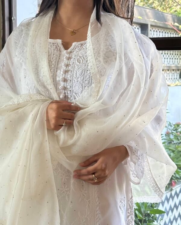 Kamdani Noor Organza Dupattas