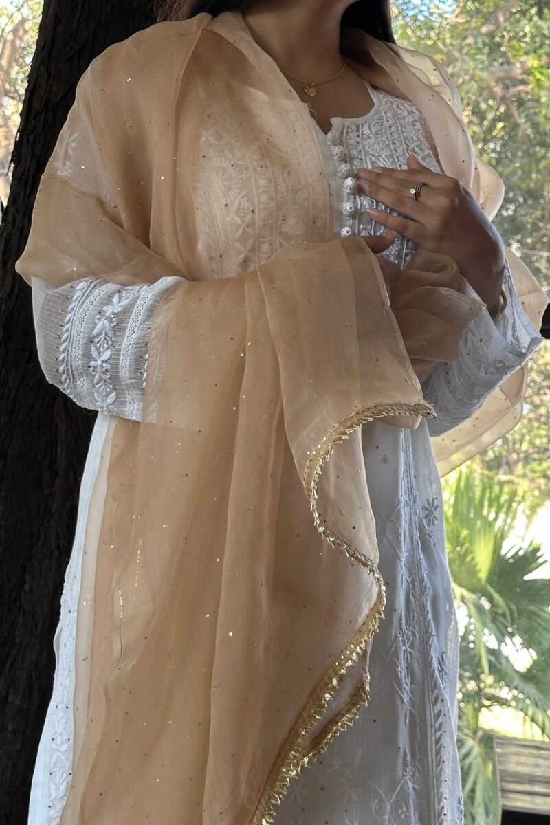 Kamdani Noor Organza Dupattas