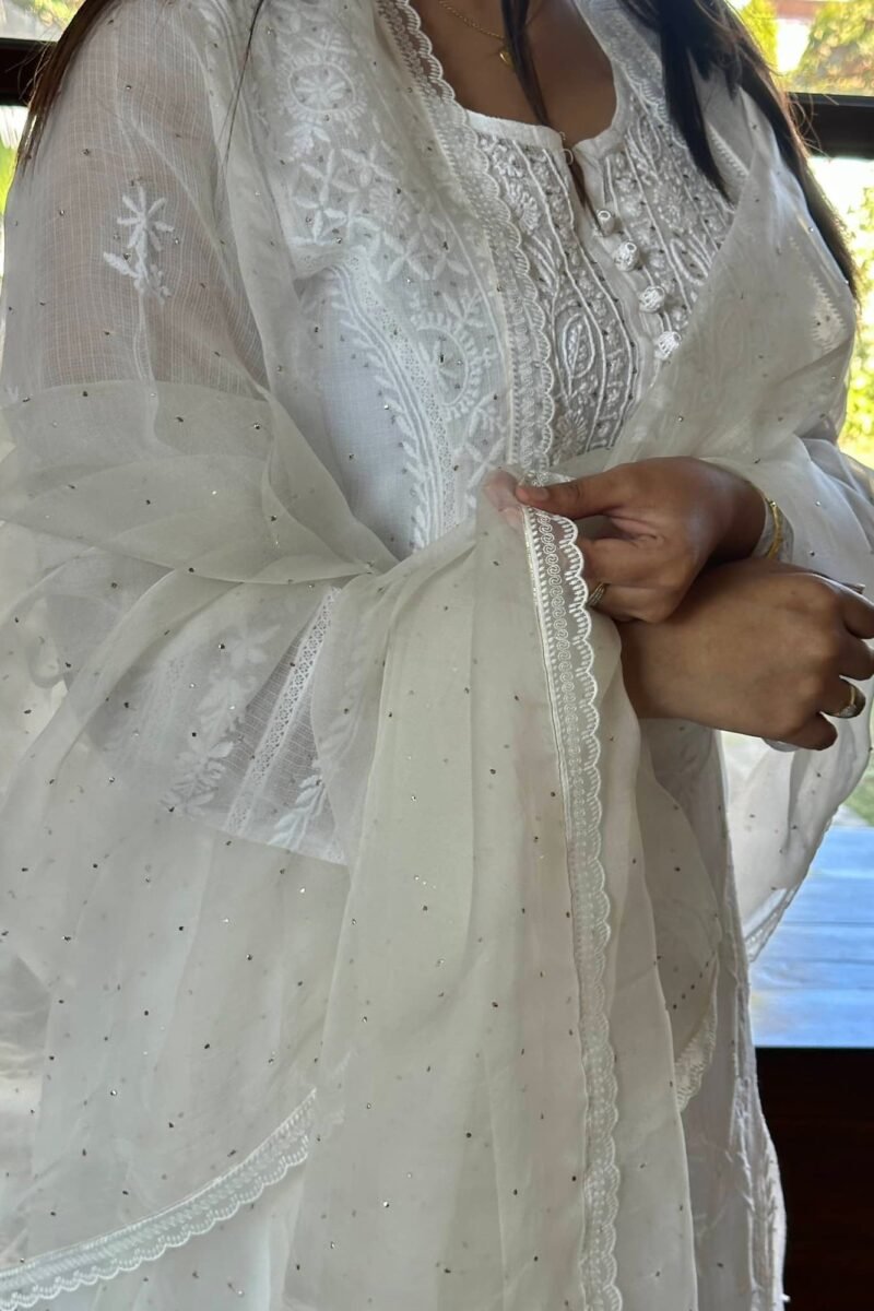 Kamdani Noor Organza Dupattas