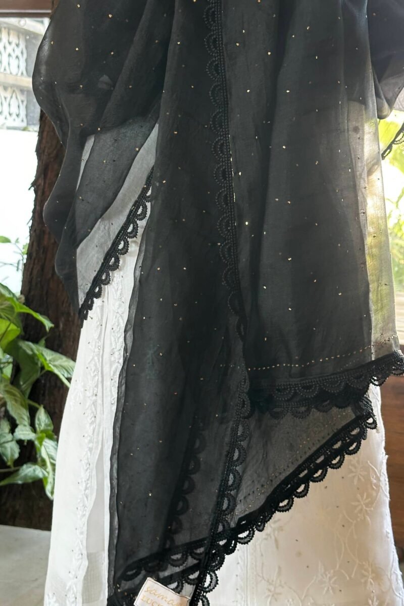Kamdani Noor Organza Dupattas