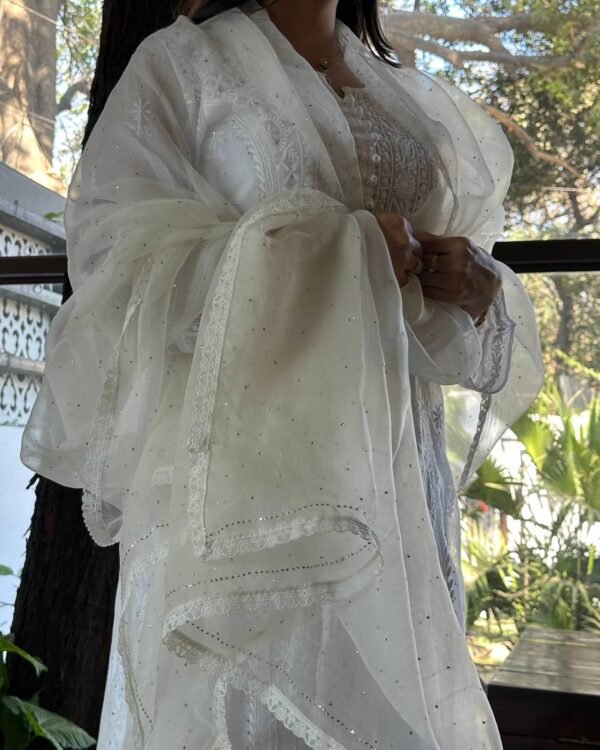 Kamdani Noor Organza Dupattas - Image 4