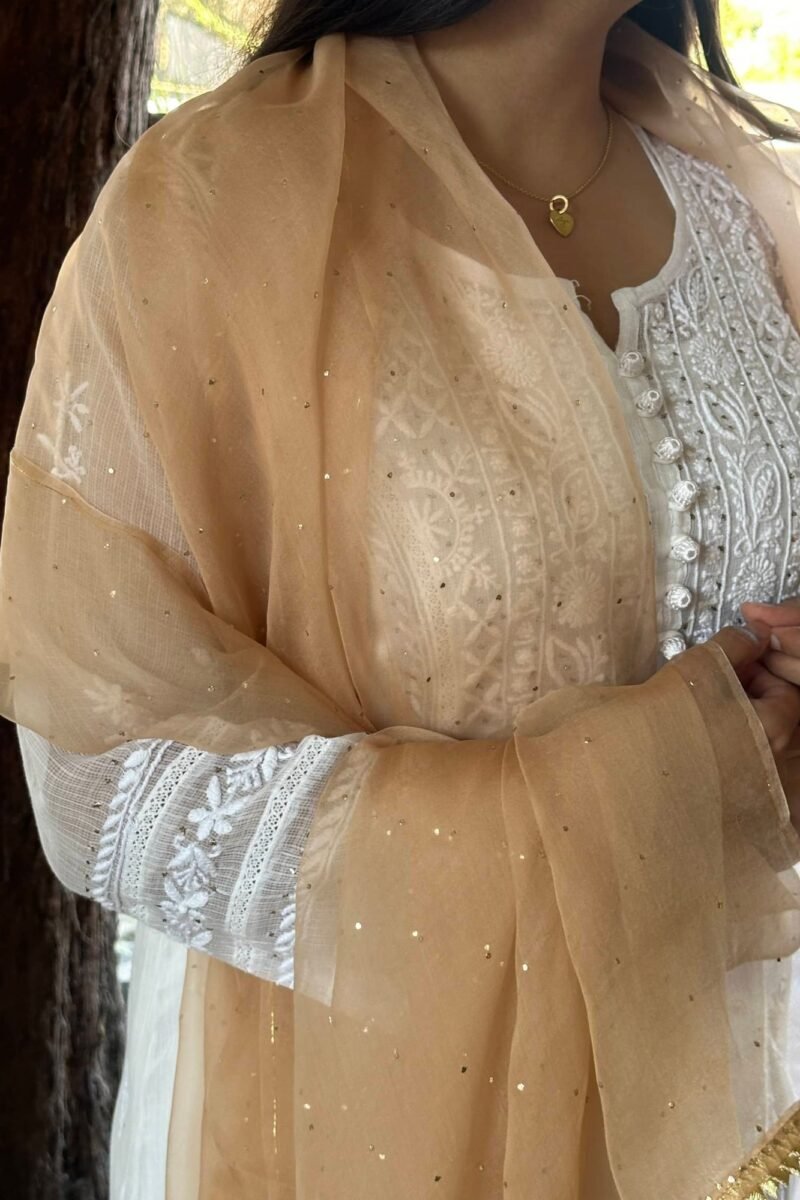 Kamdani Noor Organza Dupattas