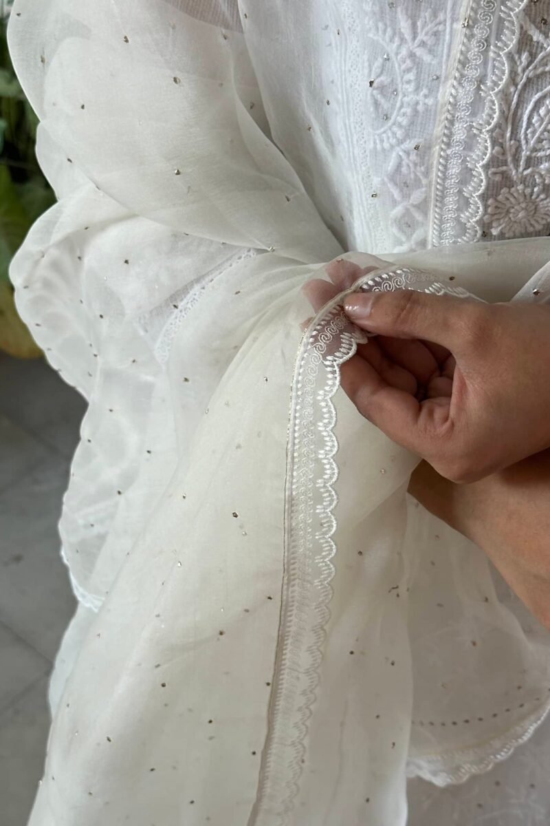 Kamdani Noor Organza Dupattas