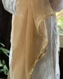 Kamdani Noor Organza Dupattas
