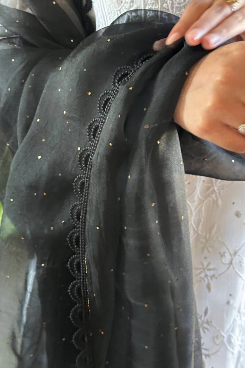 Kamdani Noor Organza Dupattas
